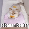 cute rebahan bentar
