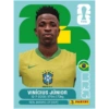 Álbum Copa 2026 BRASIL 🇧🇷 24