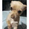 USTED Olger Gutiérrez