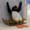 PINGUZADA 😜🐧 10