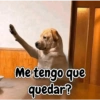 Me tengo que quedar?