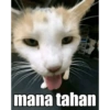 mana tahan