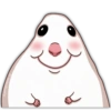 🐭🐀 Hamster 4 🐭🐀 17