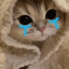 Gatos Tristes 3😿 13