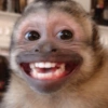 🐒🌴🐵 बंदर 🐵🌴🐒 10