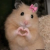 Memes sin texto 5 🫰🏻✨ 11