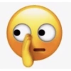 Emoji I-Phone meme 11