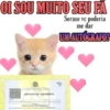 Gatinhos reativos 🐾 7