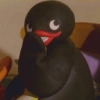 PINGU REAÇÕES  14