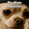 No diste amorcito