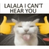 LALALA I CAN'T HEAR YOU