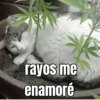 rayos me enamoré