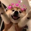 envia para o mozão | amor ❤️ 14 🐕