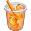 Iced Orange Drink