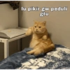 Kucing 10