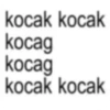 Anomali bocil windah basudara 21