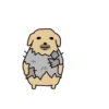 Dog 20