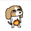 The damn dawg 13