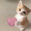 Amor  5