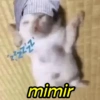 zzzzz mimir