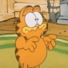 Garfield Cat 23