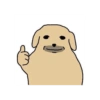 Dog 6