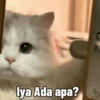 Iya Ada apa?