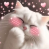 Gato Fofo com Corações