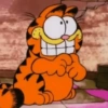 Garfield Cat 8