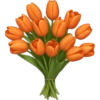 Orange Tulips