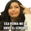 ESA PERRA NO LE SIRVE EL CEREBRO
