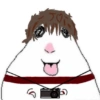 🐭🐀 Hamster 6 🐭🐀 11