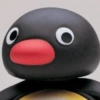 PINGU REAÇÕES  12