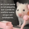 Mi círculo social es tan pequeño, que cuando mi teléfono suena, sé que son estafadores.