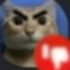 😼🫐 TikTok Cats 🫐😼 12