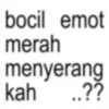 Anomali bocil windah basudara 14