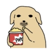 Dog 11