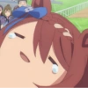 UMA MUSUME 14