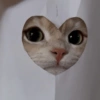 😺 Gatitos 😺 18