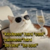 "kindness" hani "cool" "cuteness"hani "be nice" "be cool"