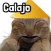 Gato Sorprendido