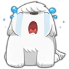geysioy
