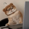 🫯🫪 WTF - OMG [Mood] 🫪🫯 11