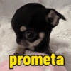 prometa