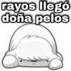rayos llegó doña pelos geysioy