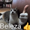 Beleza