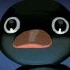 PINGUZADA 😜🐧 5