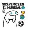 Rumbo al Mundial 2026 FLORK✨⚽ 16