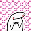 Flork amor 9