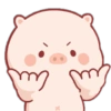 Anak Babi Lucu 15
